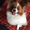 ハッピーちゃん徳島のＵ様に可愛がって頂いています