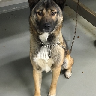 惚れ惚れするようなイケメン、ぼっちゃん！