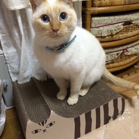 イチ