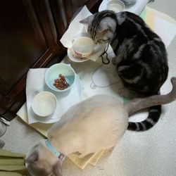 今朝の風景（続き）