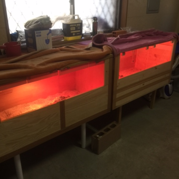 ケージは手創りです。