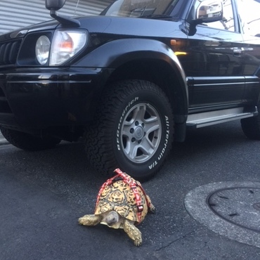 遠出にはやっぱりプラド