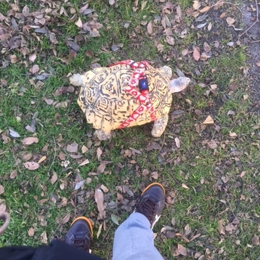 2016年1月舎人公園