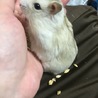 lily1014