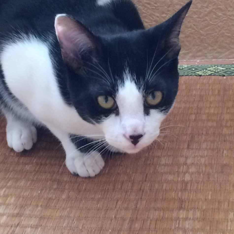 マーニのカバー写真