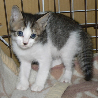 １月１８日生まれの3兄妹
