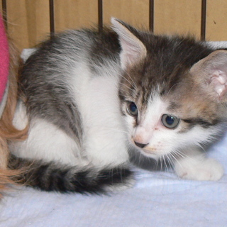 １月１８日生まれの3兄妹