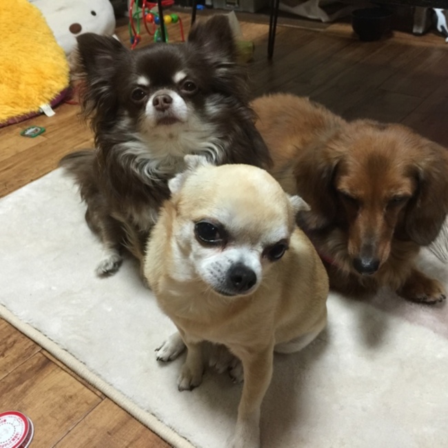 ゆか0012のカバー写真