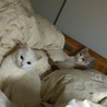 仲良し…？