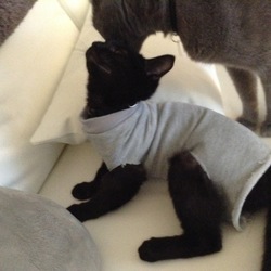 「靴下で手作り術後服」サムネイル3