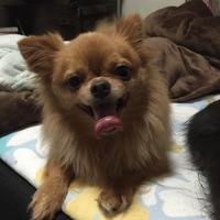 シンバ