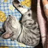 アキの母さん