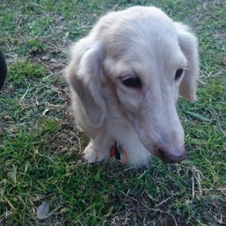 沢山の応募ありがとうございました！！