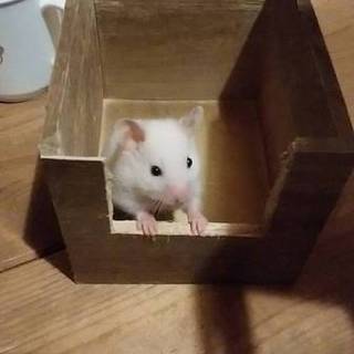 ありがとうございました