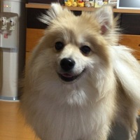 ココ