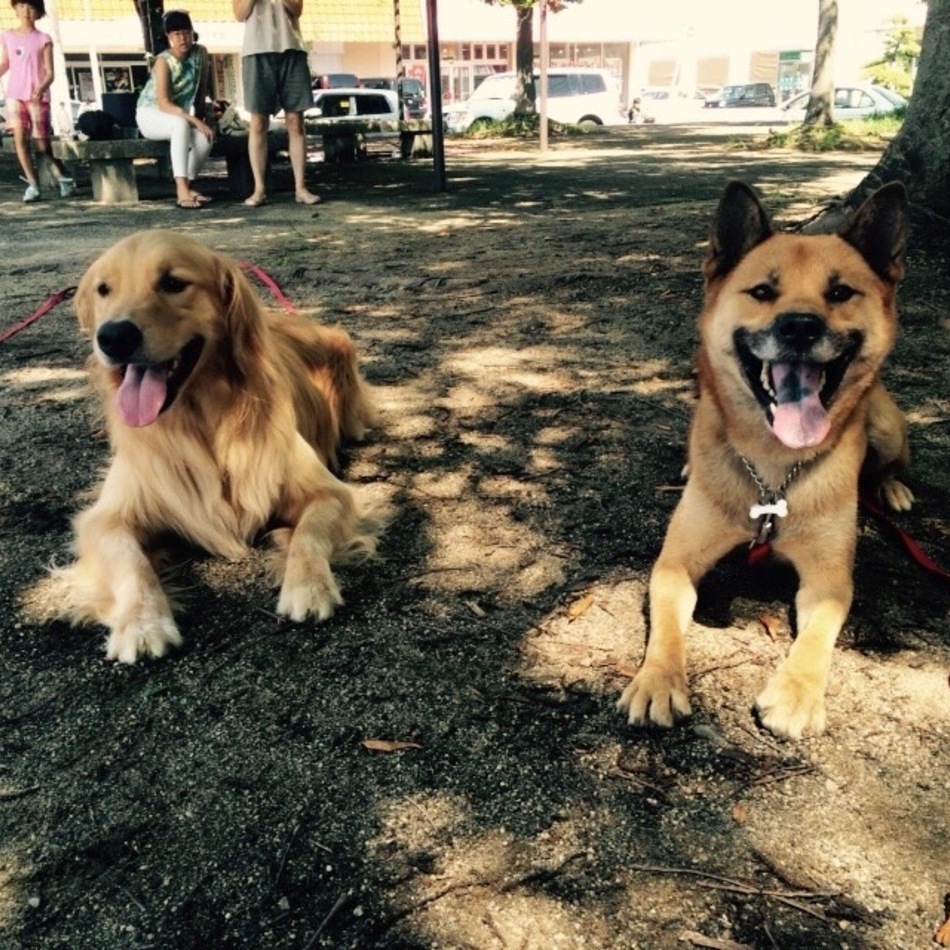 ララのカバー写真