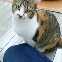 音のない世界で美しく生きる蛍ちゃん