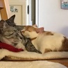 仲良くなれました。