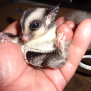 たくさんのご応募ありがとうございす