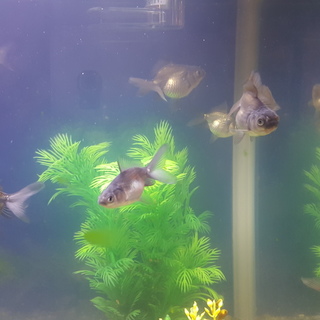 たくさんのご応募ありがとうございました。