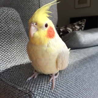 良縁に恵まれました。感謝申し上げます。