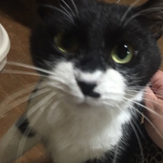 どこもここもまん丸バビ子＊