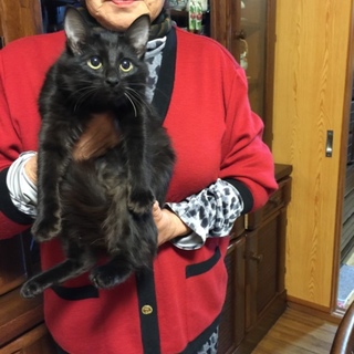 優しい子。怖がりなので仲の良い子と2匹で！