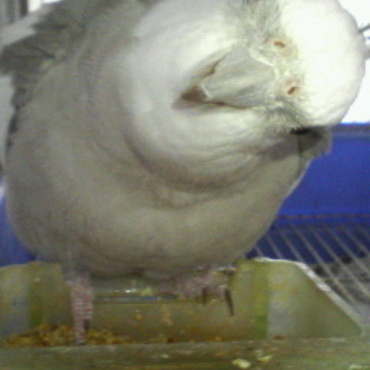 なんですか？＾＾