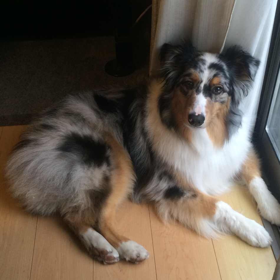 マシュー(Matthew)のカバー写真