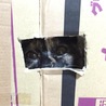 ソラノ