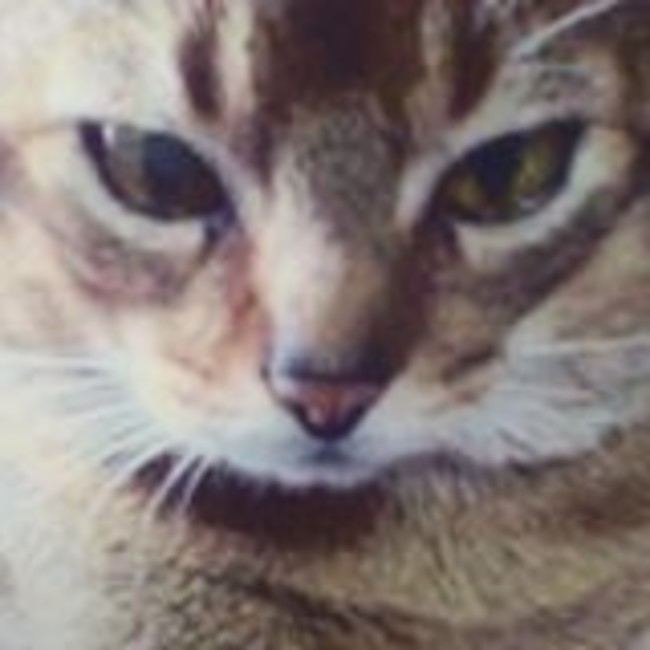 キムラヒロのカバー写真