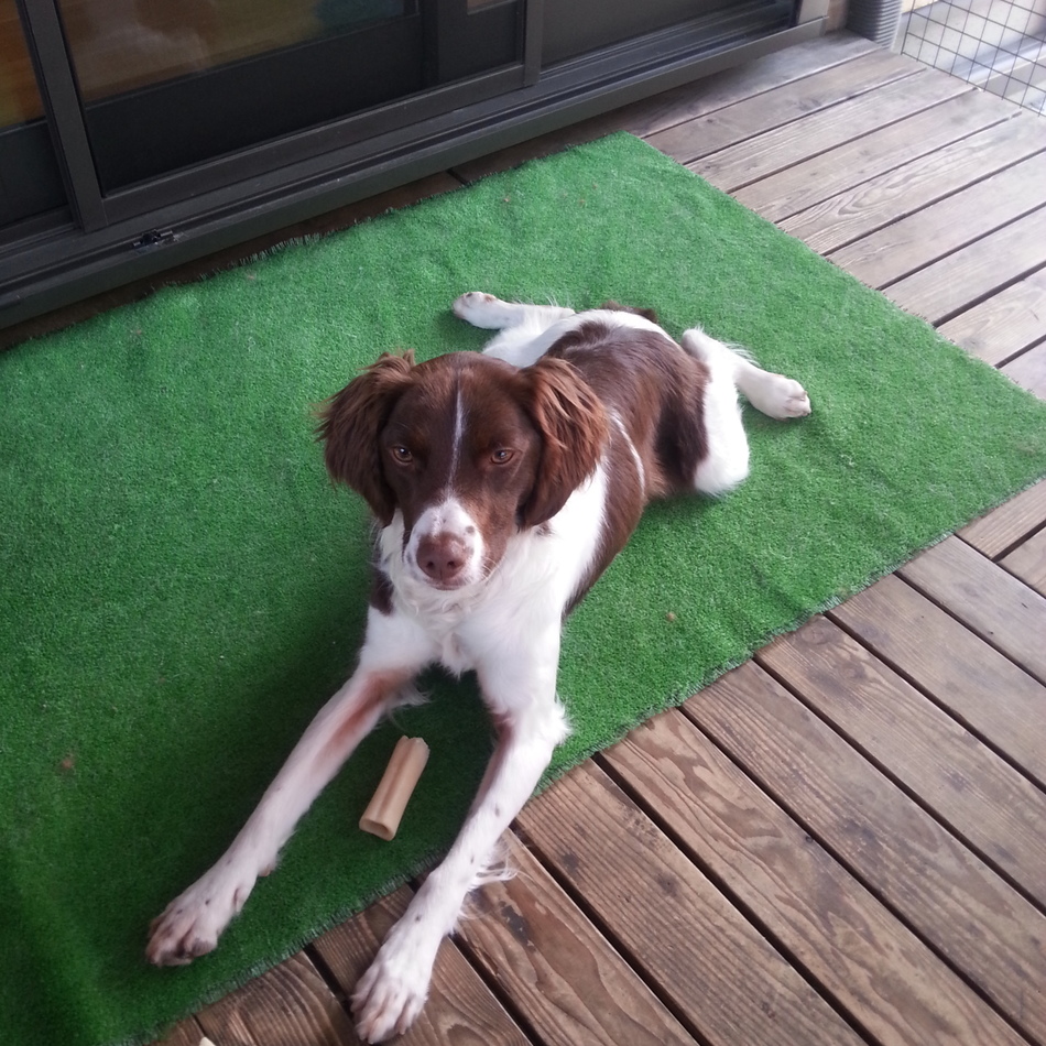 エディのカバー写真