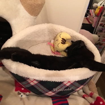 オフモード全開にゃ！