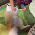 多数の御応募有難う御座いました