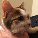 有難う御座いました