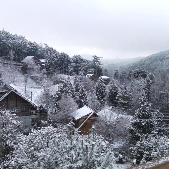 jargonicfunのカバー写真