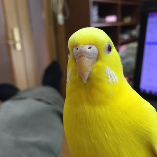 よろしくお願いします^ ^