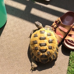 「目覚めました。」サムネイル1