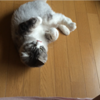 みーちゃん