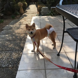 「山本屋又右衛門」サムネイル3