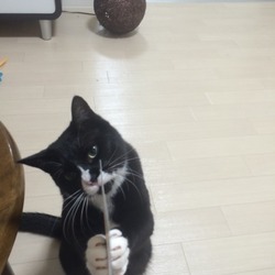 「メガネ、メガネ」サムネイル3