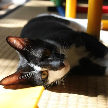 の写真