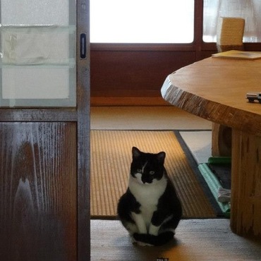 の写真