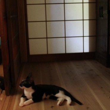 の写真