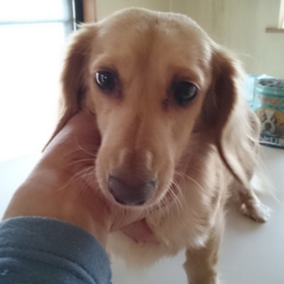 たくさんのメッセージありがとうございました。