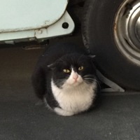 ゆい
