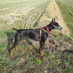 春近し 避妊手術したけど変わらないね