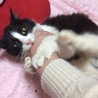 の写真
