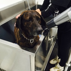 「体験学習Ⅱ（セルフウォッシュデビュー編）」サムネイル3