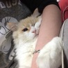 おねむ